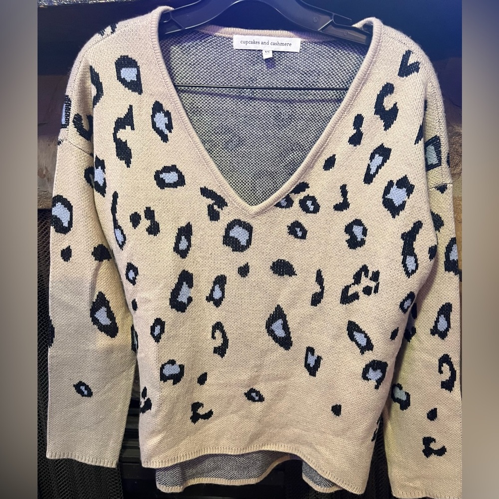 Cupcakes and Cashmere Sweater